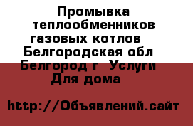 Промывка теплообменников газовых котлов. - Белгородская обл., Белгород г. Услуги » Для дома   